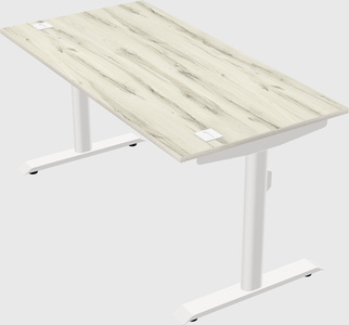Dual motor electric desk