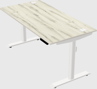 Dual motor electric desk