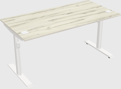 Dual motor electric desk