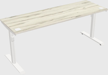 Dual motor electric desk