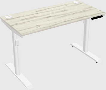 Dual motor electric desk