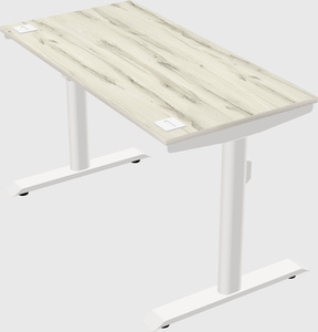 Dual motor electric desk