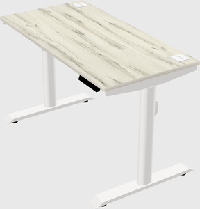 Dual motor electric desk