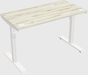 Dual motor electric desk