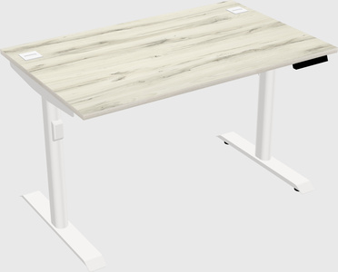 Dual motor electric desk