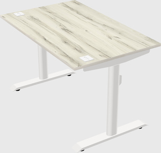 Dual motor electric desk