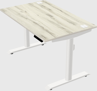 Dual motor electric desk