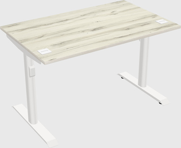 Dual motor electric desk
