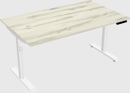 Dual motor electric desk