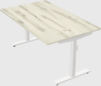 Dual motor electric desk