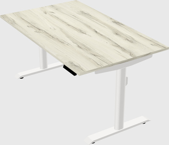 Dual motor electric desk
