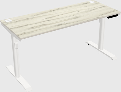 Dual Motor Electric Desk