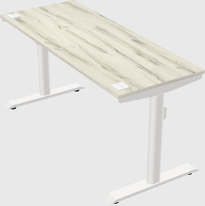 Dual motor electric desk