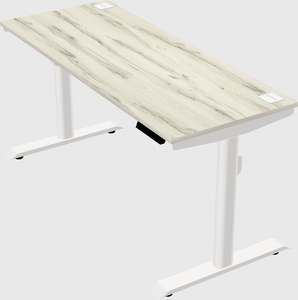 Dual motor electric desk