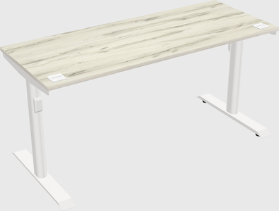 Dual motor electric desk