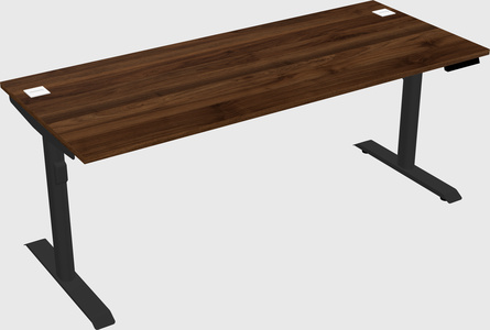 Dual motor electric desk