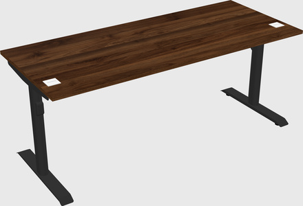 Dual motor electric desk