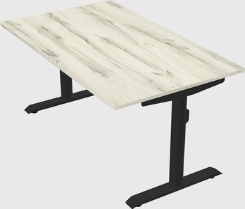 Dual motor electric desk