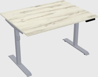 Dual motor electric desk