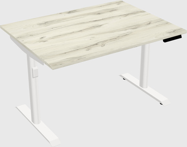 Dual motor electric desk