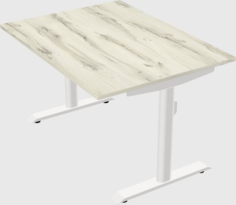 Dual motor electric desk