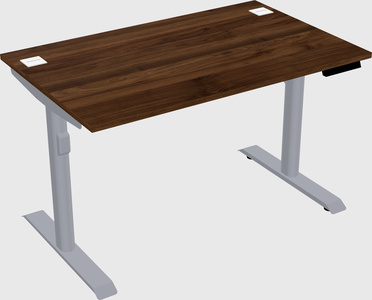 Dual motor electric desk