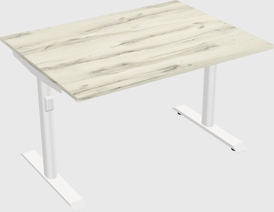 Dual motor electric desk
