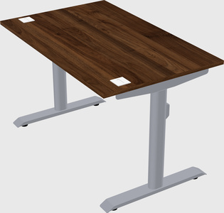 Dual motor electric desk