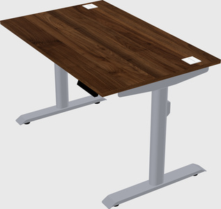 Dual motor electric desk