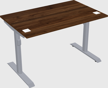 Dual motor electric desk