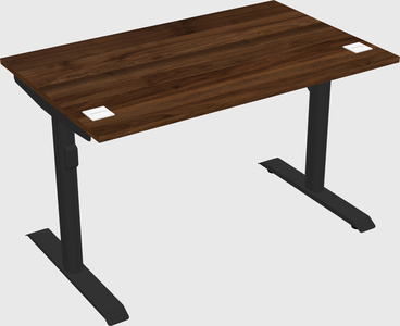 Dual motor electric desk