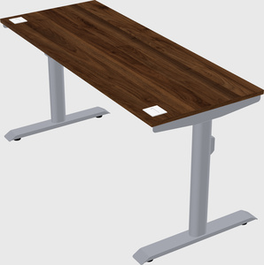 Dual motor electric desk