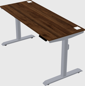 Dual motor electric desk