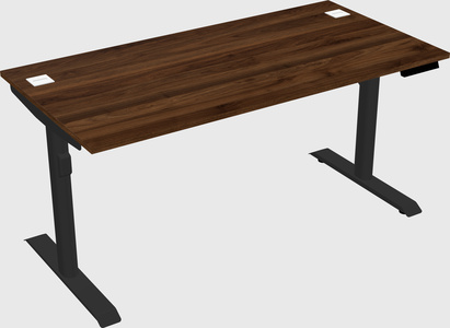 Dual motor electric desk