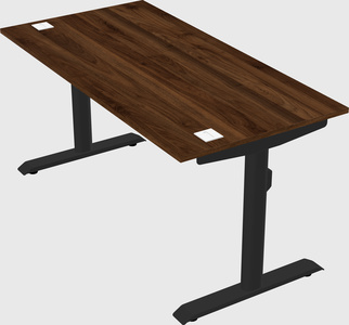 Dual motor electric desk