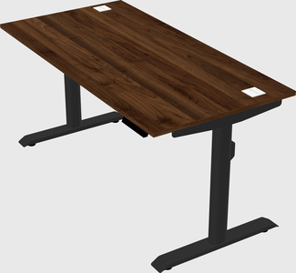 Dual motor electric desk