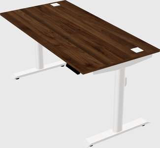 Dual motor electric desk