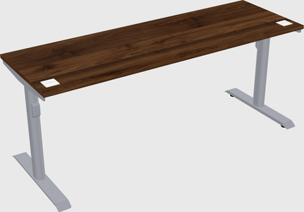 Dual motor electric desk