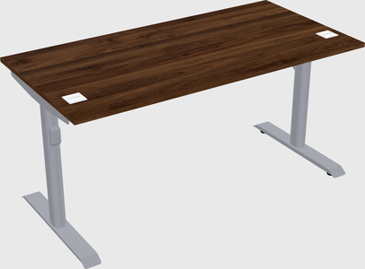 Dual motor electric desk