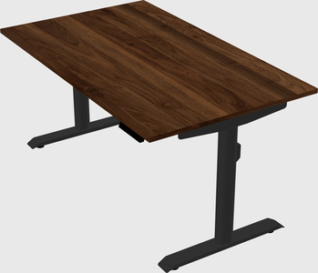 Dual motor electric desk