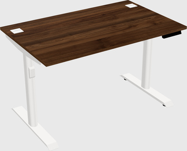 Dual motor electric desk