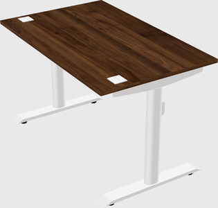 Dual motor electric desk