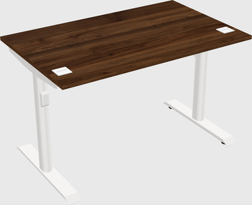 Dual motor electric desk