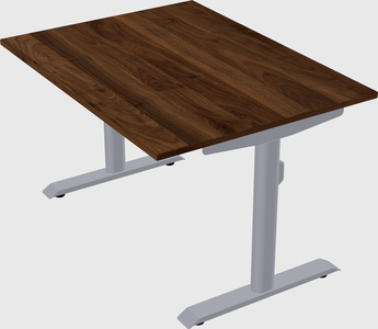 Dual motor electric desk