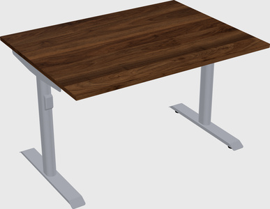 Dual motor electric desk
