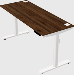 Dual motor electric desk
