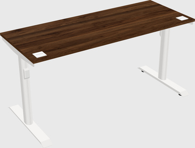 Dual motor electric desk