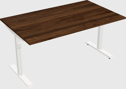 Dual motor electric desk
