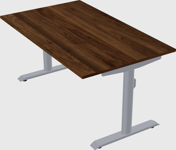 Dual motor electric desk