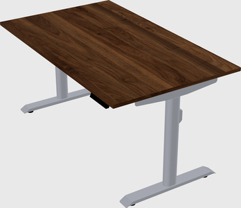 Dual motor electric desk